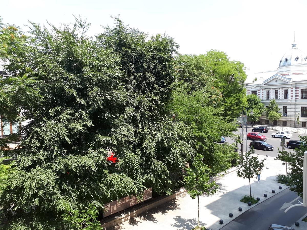 Studio Old Center Bükreş Dış mekan fotoğraf